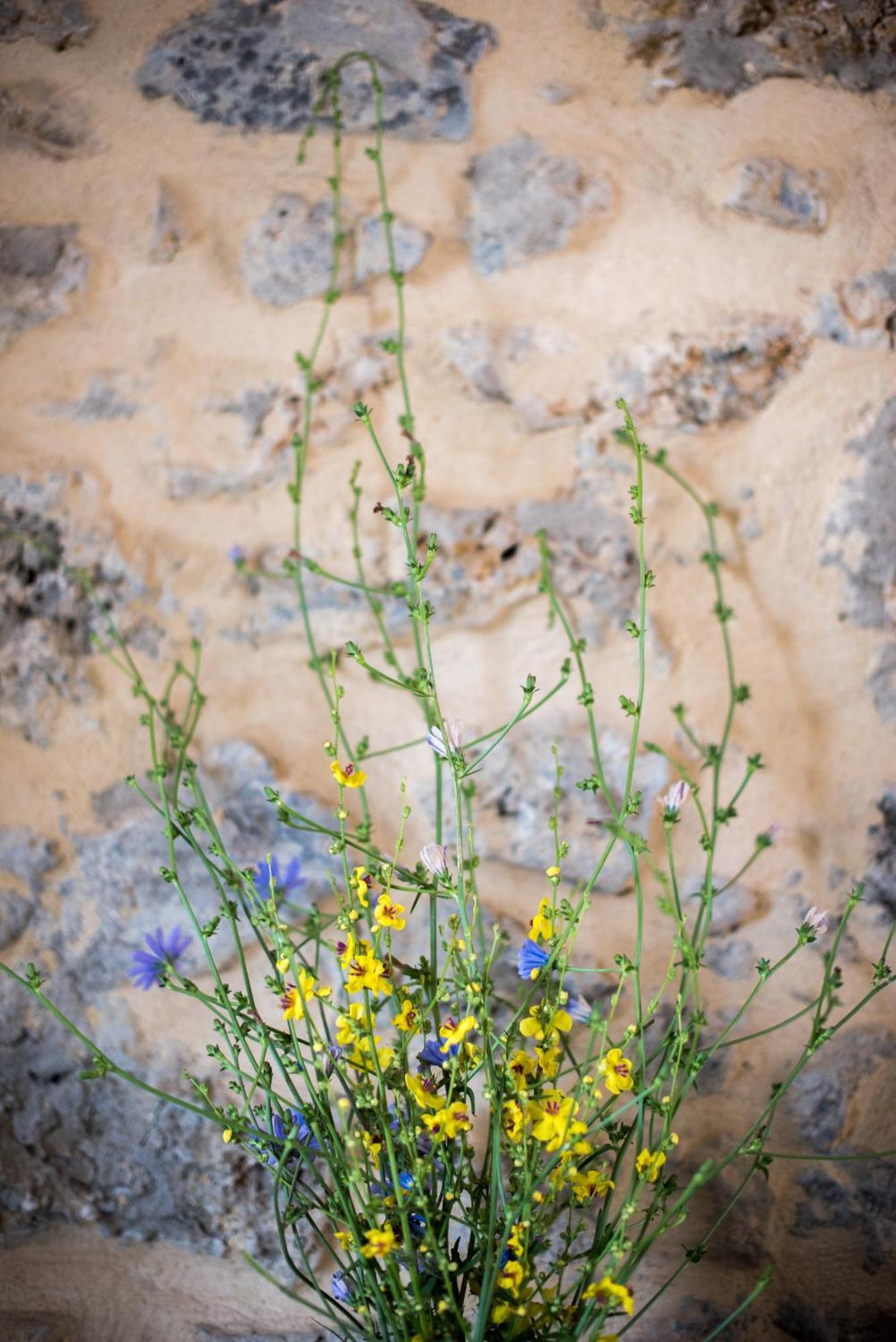 Agriturismo Casalino18 Tognazza ภายนอก รูปภาพ