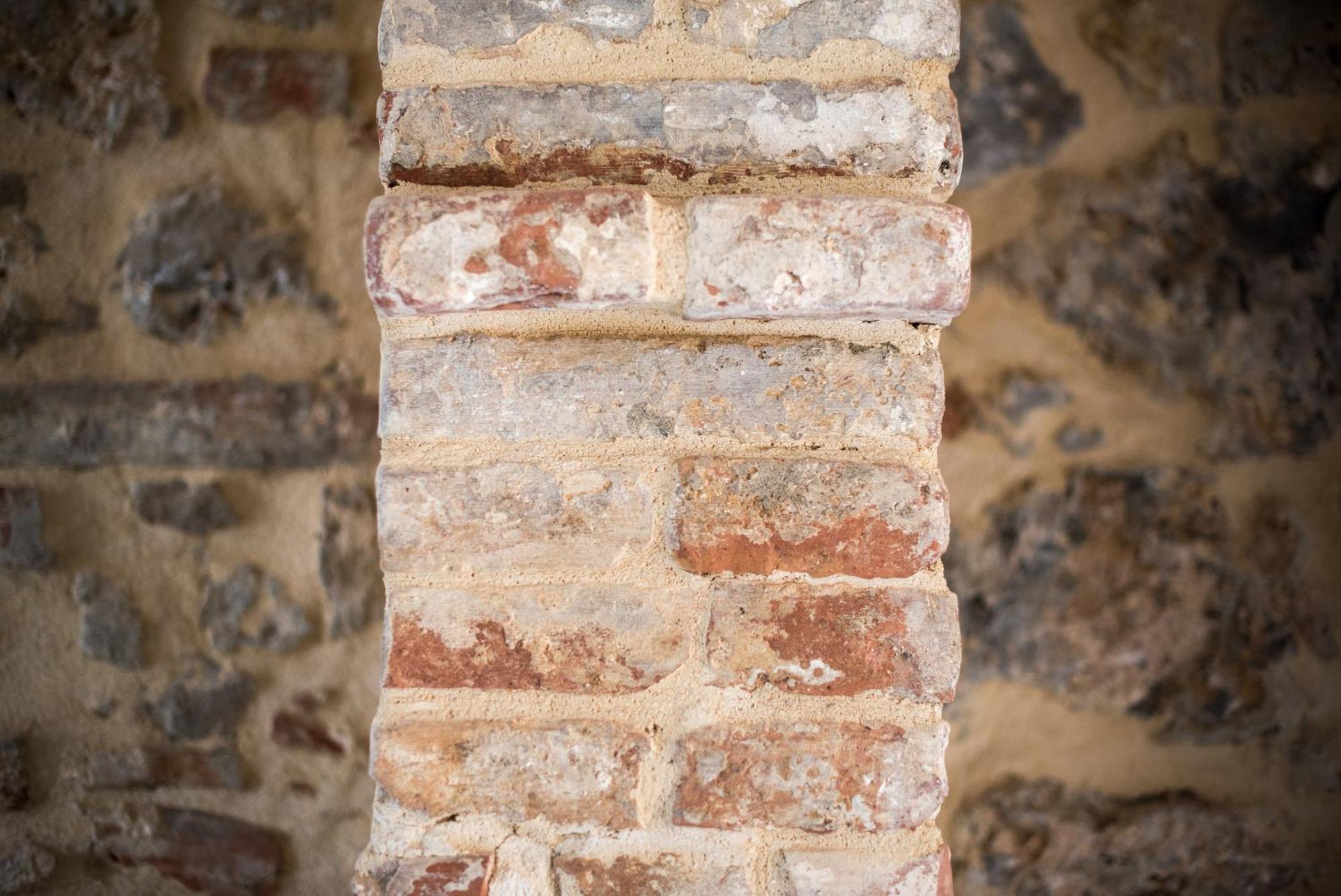 Agriturismo Casalino18 Tognazza ภายนอก รูปภาพ