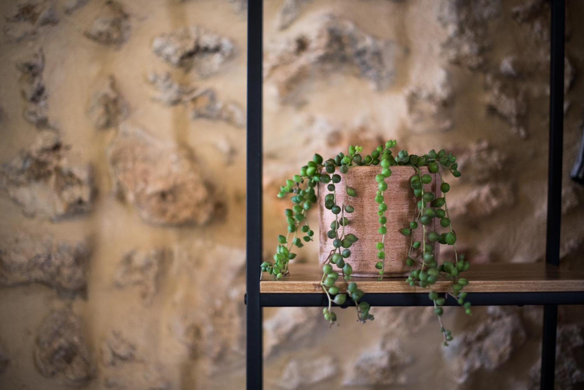 Agriturismo Casalino18 Tognazza ภายนอก รูปภาพ
